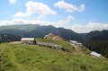 IMG_8398