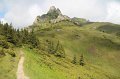 IMG_8407