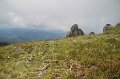 IMG_8477