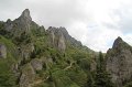 IMG_8484