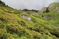 IMG_8486