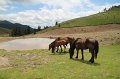 IMG_8499