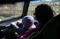 IMG_8513