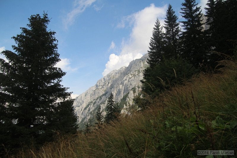 IMG_9330.JPG