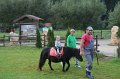 IMG_9203