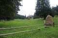 IMG_9249