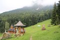 IMG_9254