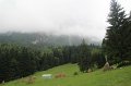 IMG_9268