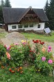 IMG_9269