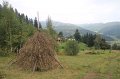 IMG_9282