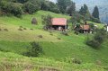 IMG_9288