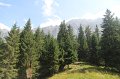 IMG_9314
