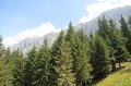 IMG_9320