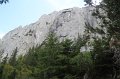 IMG_9346