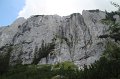 IMG_9352