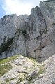 IMG_9356