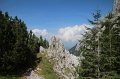 IMG_9391