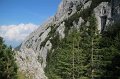 IMG_9393