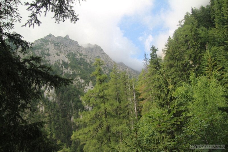 IMG_8852.JPG