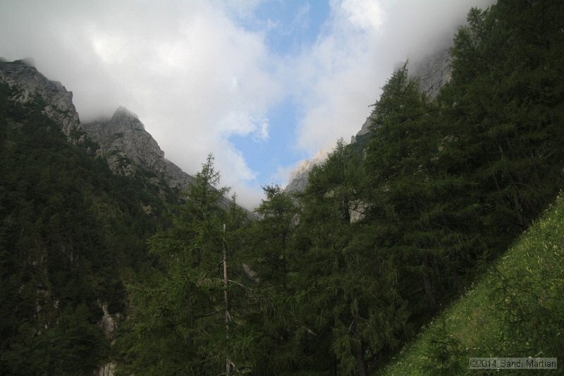 IMG_8859.JPG