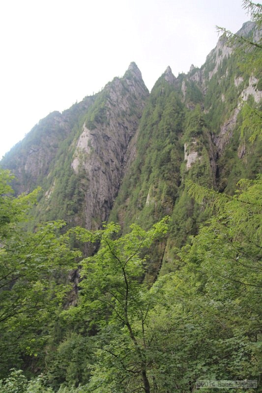 IMG_8860.JPG