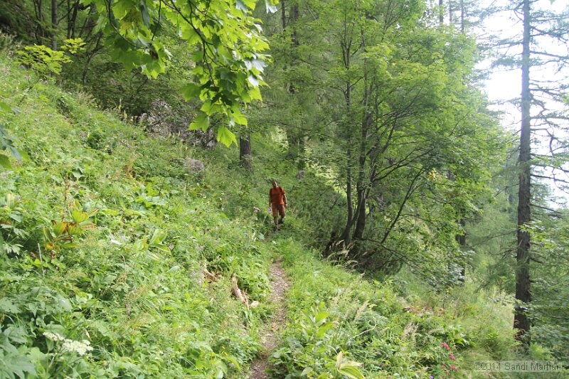 IMG_8861.JPG