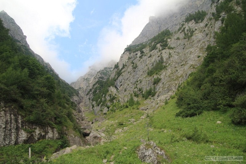 IMG_8865.JPG