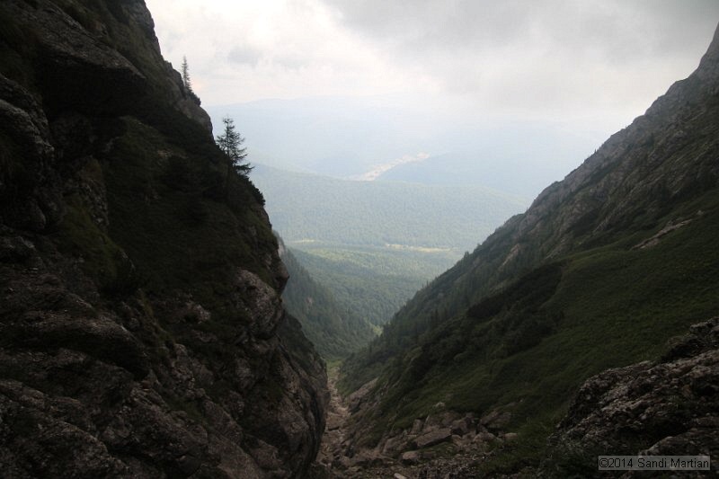 IMG_8913.JPG