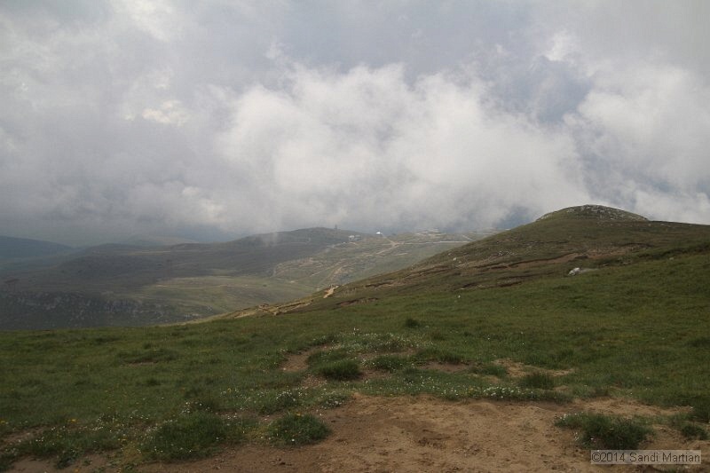 IMG_8956.JPG