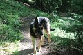 IMG_8835