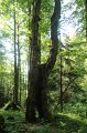 IMG_8843