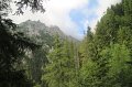 IMG_8852