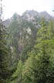 IMG_8855