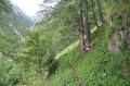 IMG_8858