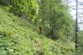 IMG_8861