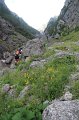 IMG_8872