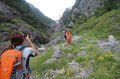 IMG_8875