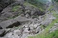 IMG_8877