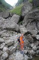 IMG_8882
