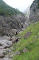 IMG_8894