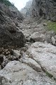 IMG_8905