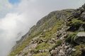 IMG_8941