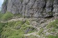 IMG_8977