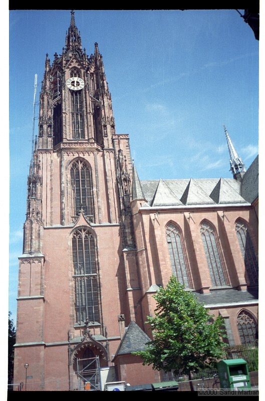 IMG2501.jpg