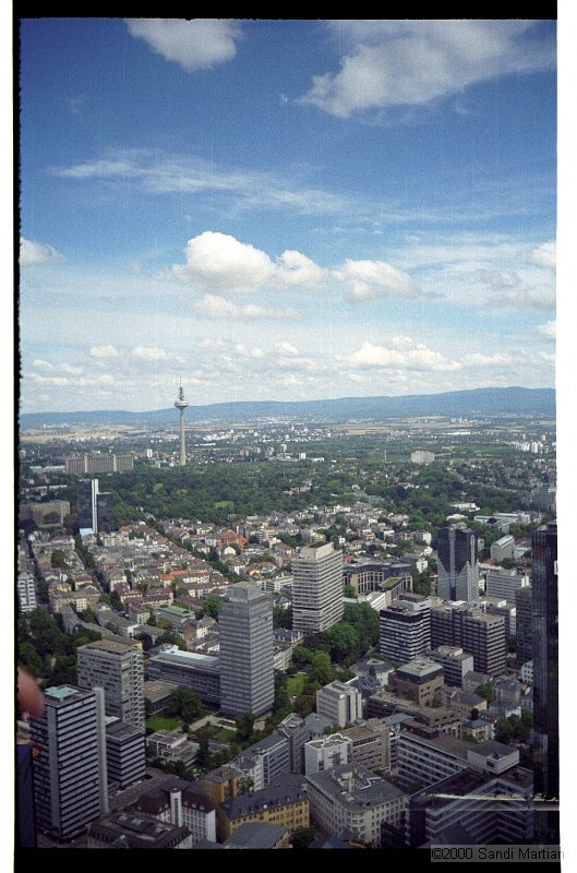 IMG2509.jpg