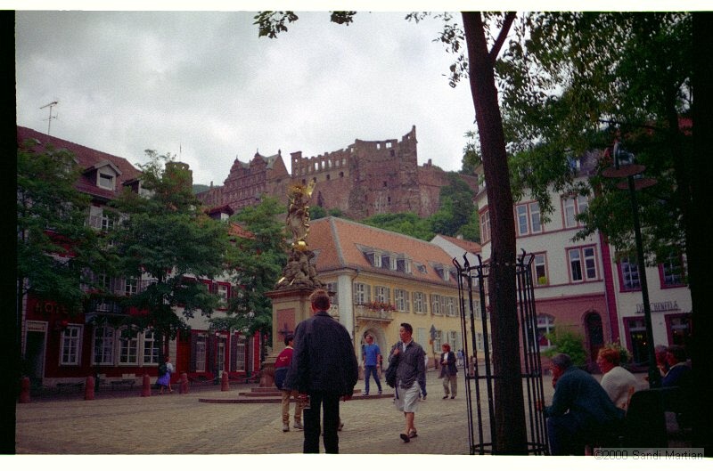IMG2724.jpg