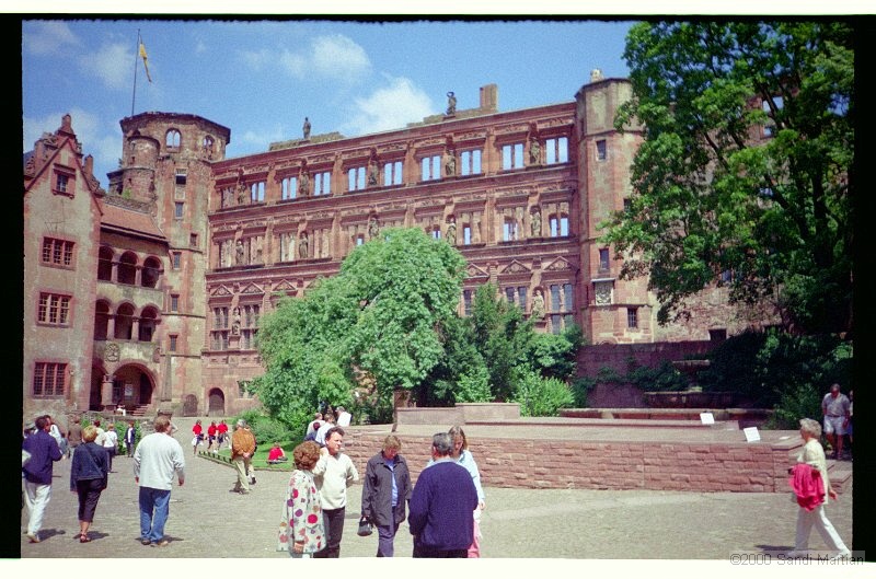 IMG2730.jpg