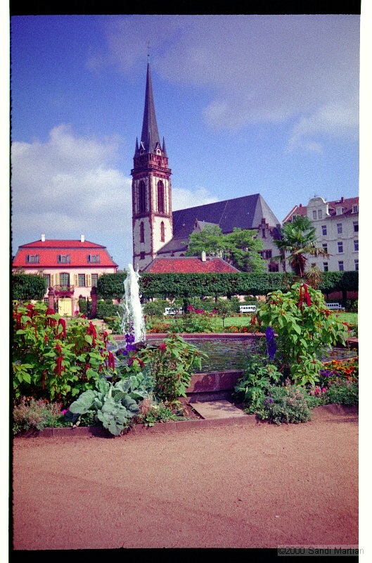 IMG2737.jpg