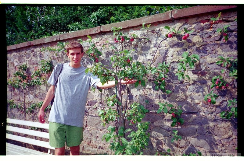 IMG2739.jpg
