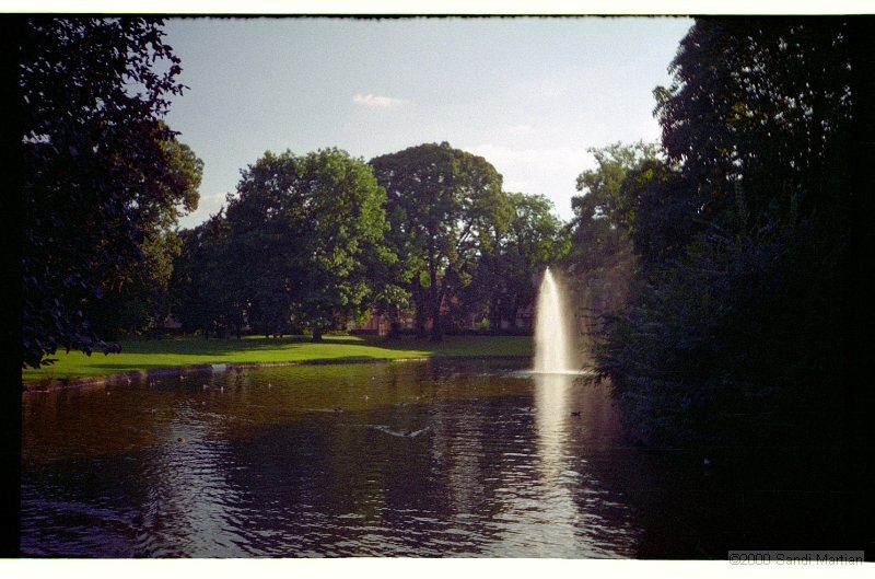 IMG2742.jpg